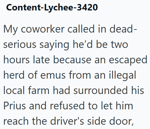 Content-Lychee-3420 My coworker called in dead- serious saying he'd be two hours late because an escaped herd of emus from an illegal local farm had surrounded his Prius and refused to let him reach the driver's side door,