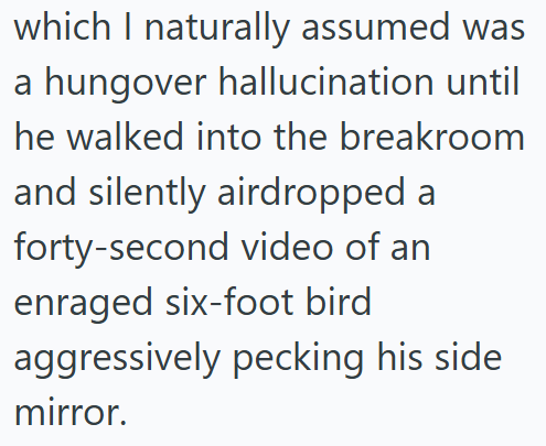 which I naturally assumed was a hungover hallucination until he walked into the breakroom and silently airdropped a forty-second video of an enraged six-foot bird aggressively pecking his side. mirror.