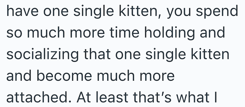 have one single kitten, you spend so much more time holding and socializing that one single kitten and become much more attached. At least that's what I