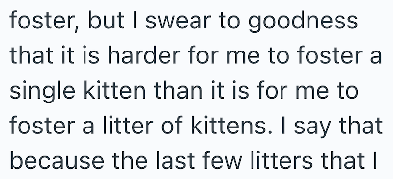 foster, but I swear to goodness that it is harder for me to foster a single kitten than it is for me to foster a litter of kittens. I say that because the last few litters that I