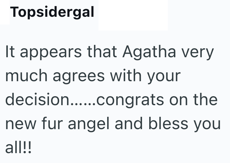 Topsidergal It appears that Agatha very much agrees with your decision......congrats on the new fur angel and bless you all!!