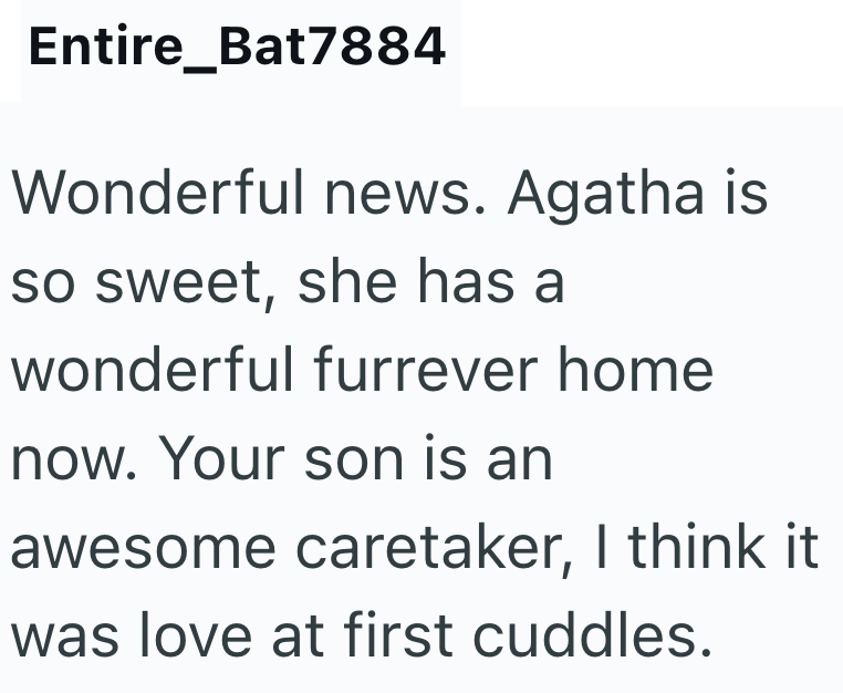 Entire_Bat7884 Wonderful news. Agatha is so sweet, she has a wonderful furrever home now. Your son is an awesome caretaker, I think it was love at first cuddles.