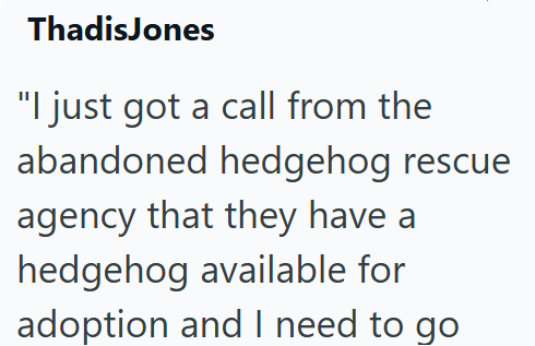 ThadisJones "I just got a call from the abandoned hedgehog rescue agency that they have a hedgehog available for adoption and I need to go