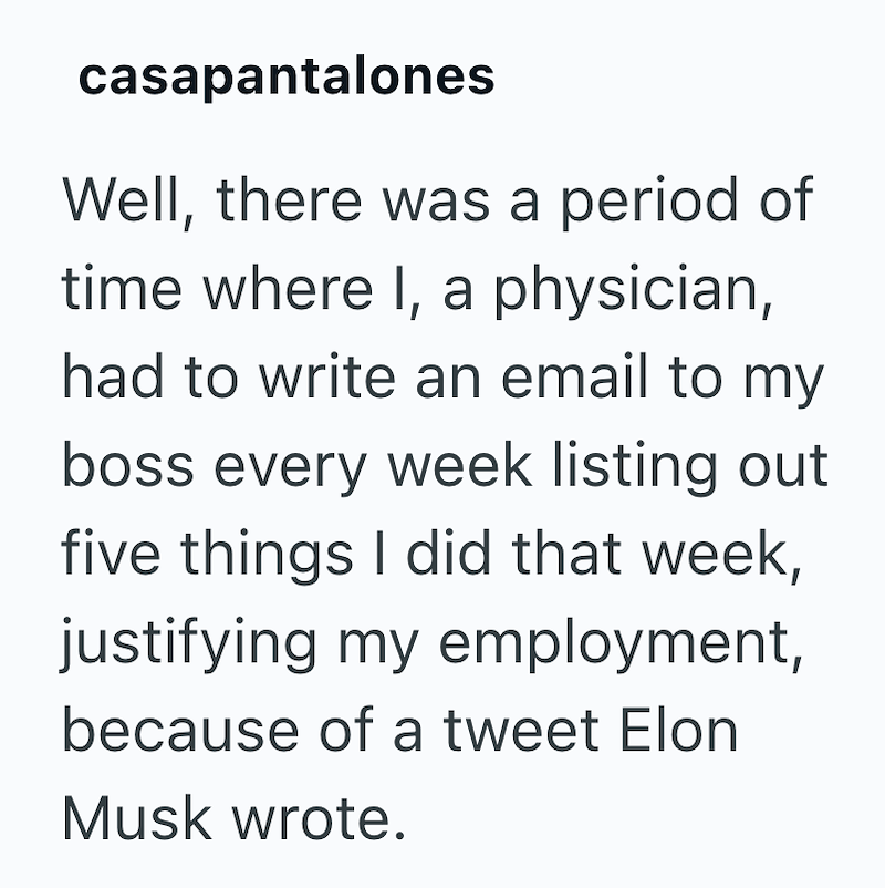 casapantalones Well, there was a period of time where I, a physician, had to write an email to my boss every week listing out five things I did that week, justifying my employment, because of a tweet Elon Musk wrote.