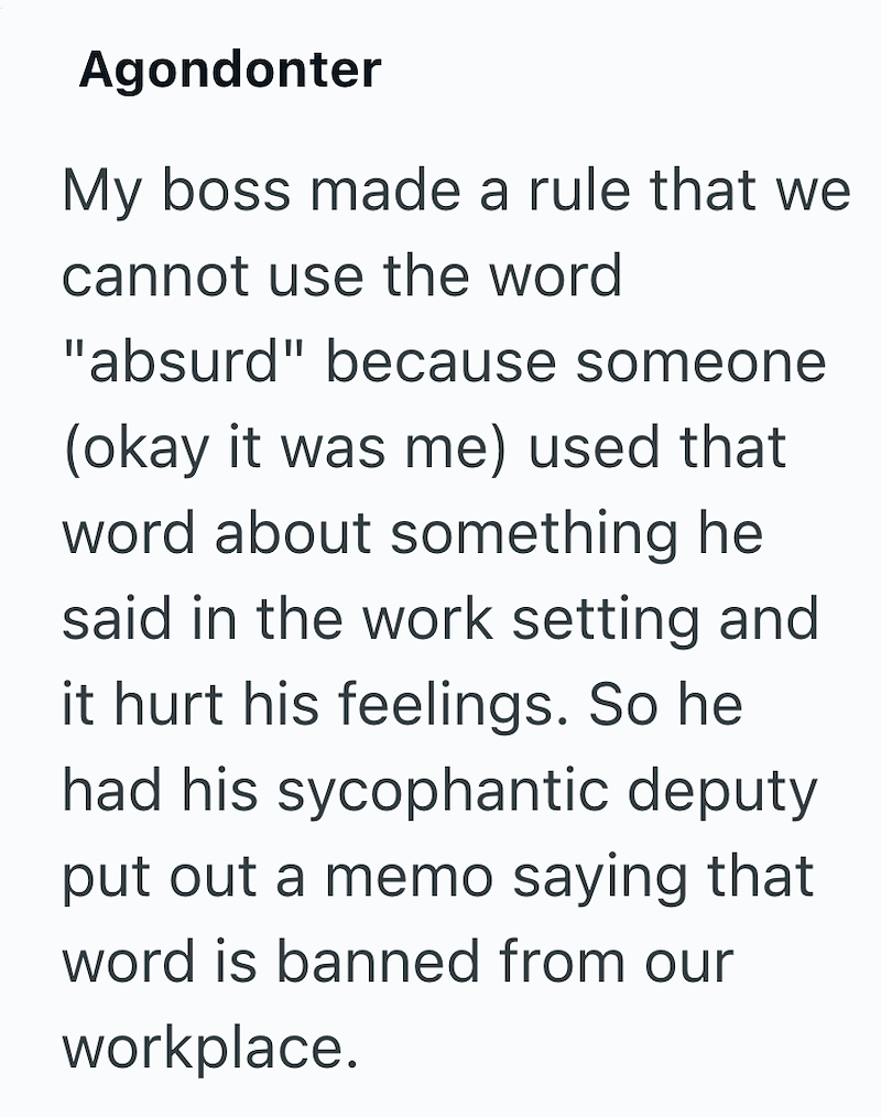 Agondonter My boss made a rule that we cannot use the word "absurd" because someone (okay it was me) used that word about something he said in the work setting and it hurt his feelings. So he had his sycophantic deputy put out a memo saying that word is banned from our workplace.