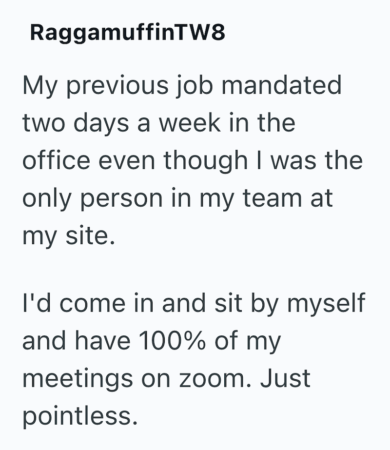 RaggamuffinTW8 My previous job mandated two days a week in the office even though I was the only person in my team at my site. I'd come in and sit by myself and have 100% of my meetings on zoom. Just pointless.