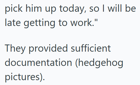 pick him up today, so I will be late getting to work." They provided sufficient documentation (hedgehog pictures).