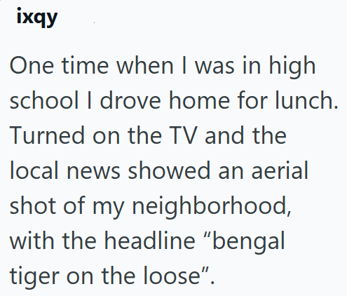 ixqy One time when I was in high school I drove home for lunch. Turned on the TV and the local news showed an aerial shot of my neighborhood, with the headline "bengal tiger on the loose".