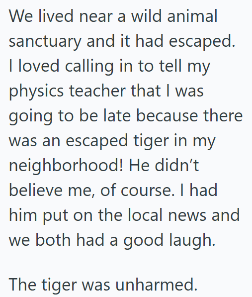 We lived near a wild animal sanctuary and it had escaped. I loved calling in to tell my physics teacher that I was going to be late because there was an escaped tiger in my neighborhood! He didn't believe me, of course. I had him put on the local news and we both had a good laugh. The tiger was unharmed.