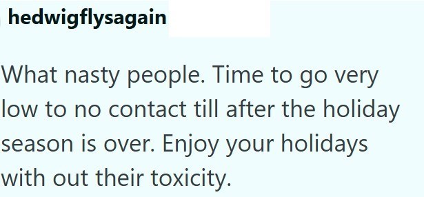 hedwigflysagain What nasty people. Time to go very low to no contact till after the holiday season is over. Enjoy your holidays with out their toxicity.