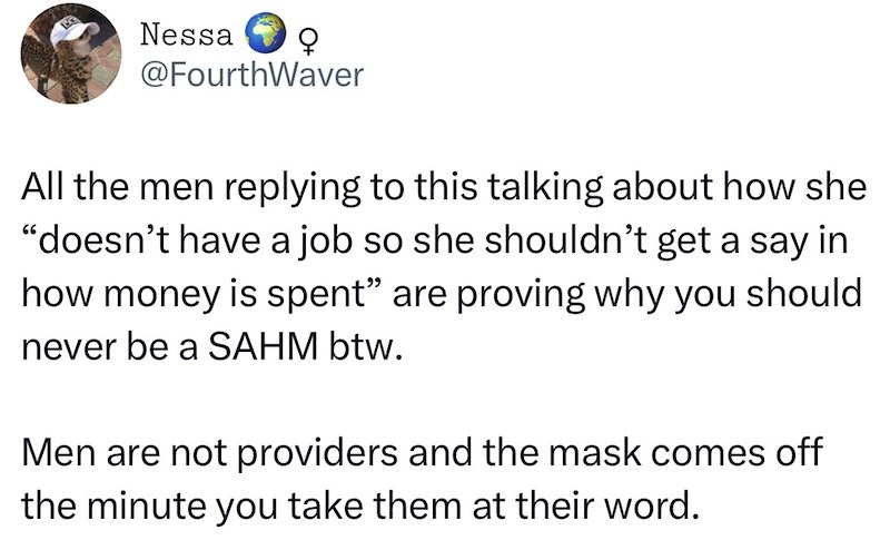Nessa Q @FourthWaver All the men replying to this talking about how she "doesn't have a job so she shouldn't get a say in how money is spent” are proving why you should never be a SAHM btw. Men are not providers and the mask comes off the minute you take them at their word.