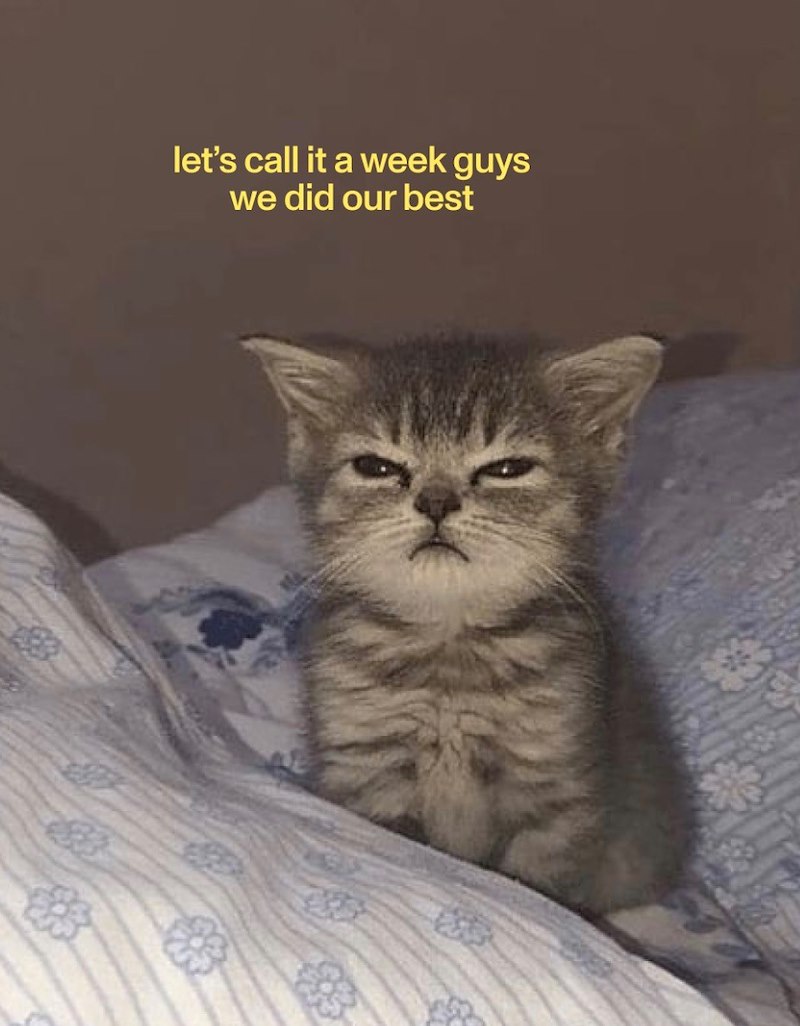 let's call it a week guys we did our best