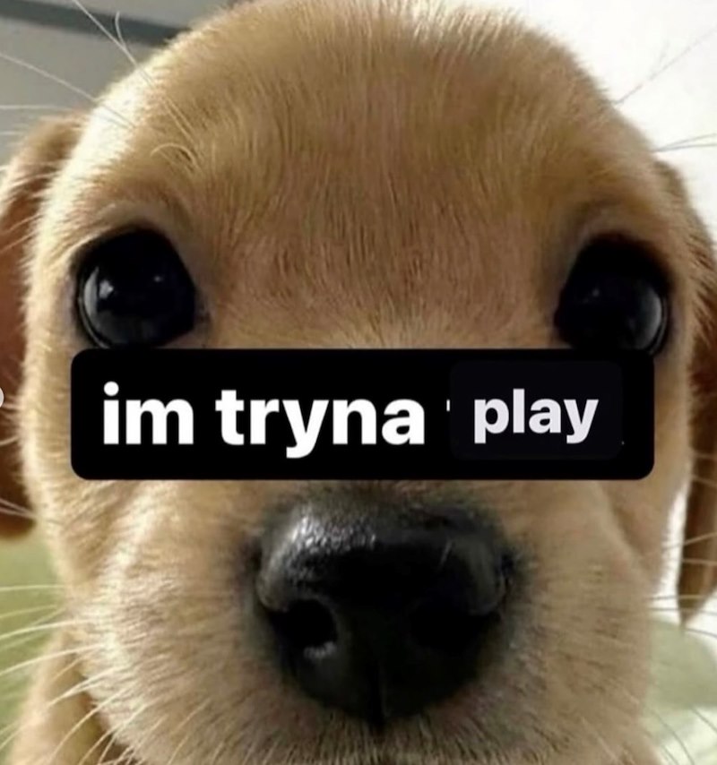 im tryna play