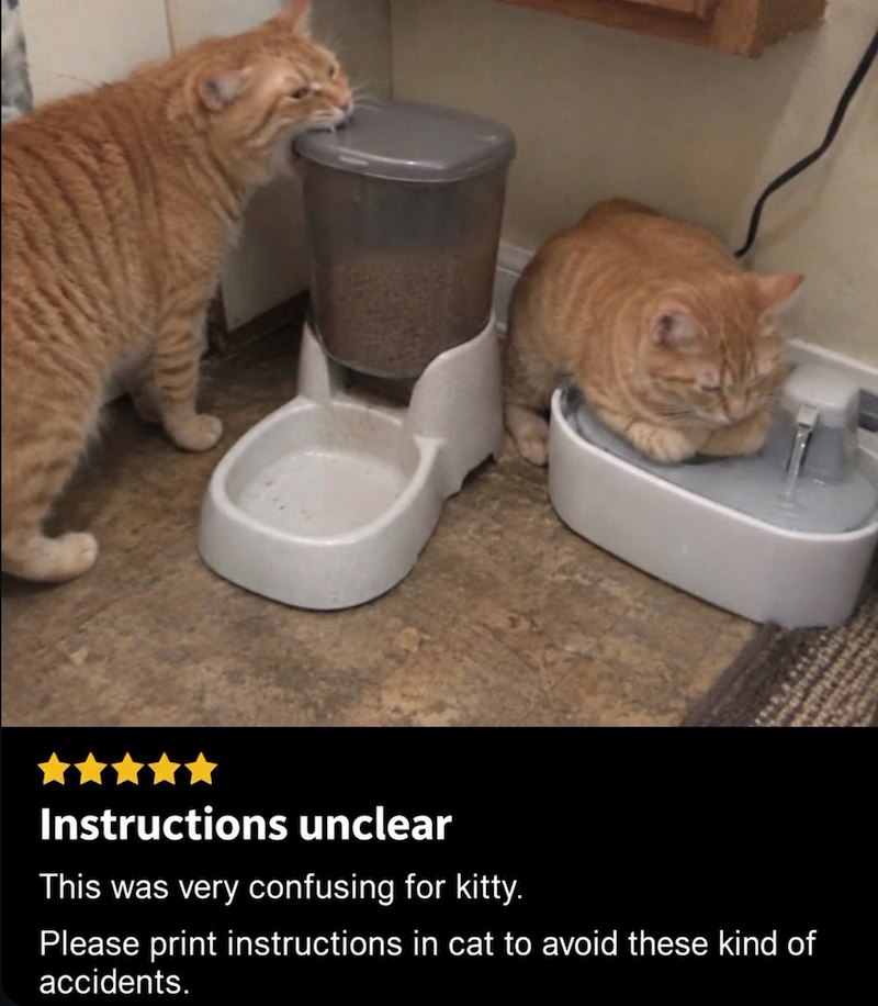 Instructions unclear This was very confusing for kitty. Please print instructions in cat to avoid these kind of accidents.