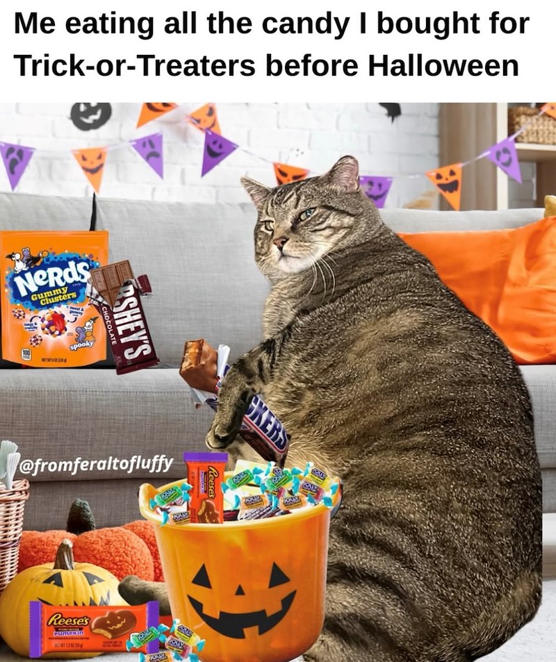 Me eating all the candy I bought for Trick-or-Treaters before Halloween Nerds Gummy Clusters spooky CHOCOLATE RSHEY'S CKERS Keeses @fromferaltofluffy Reese's Pumpkin MONT 1200g ONS