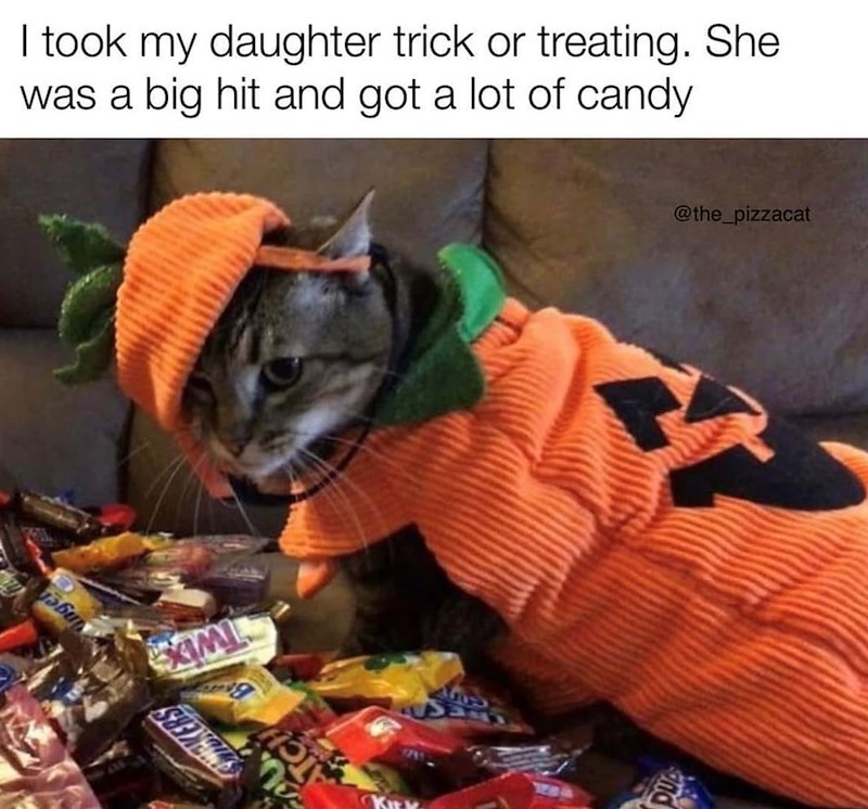 I took my daughter trick or treating. She was a big hit and got a lot of candy 156 XML @the_pizzacat and