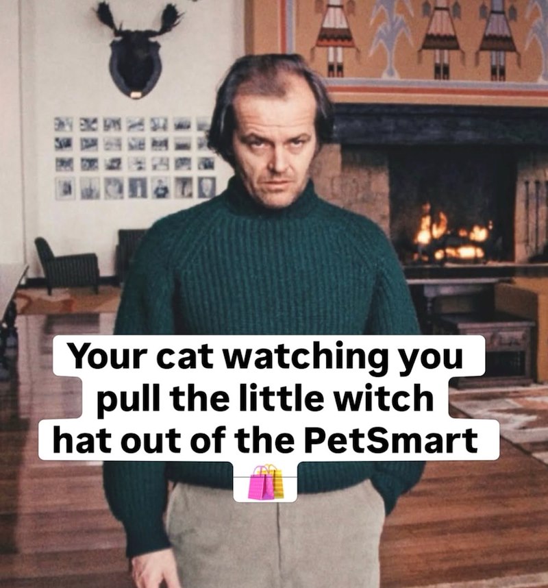 Your cat watching you pull the little witch hat out of the PetSmart