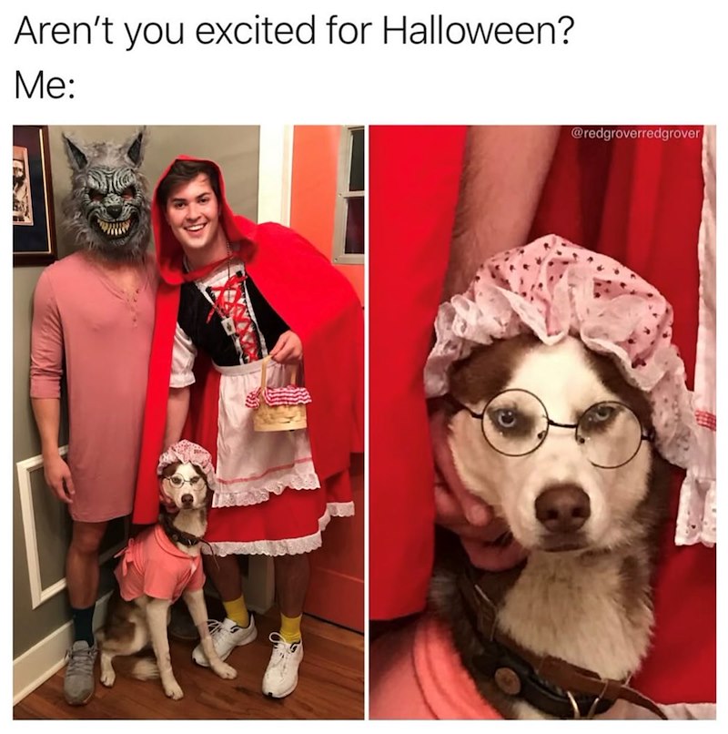 Aren't you excited for Halloween? Me: @redgroverredgrover