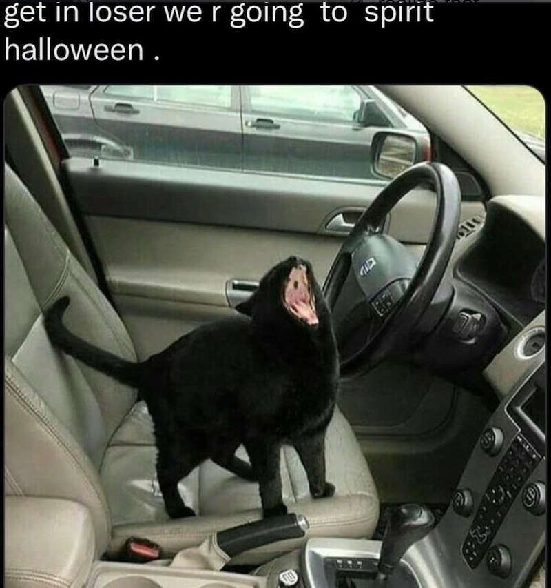 get in loser we r going to spirit halloween.