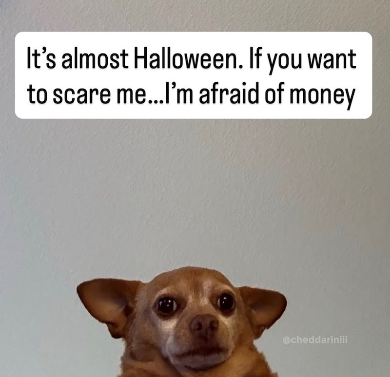 It's almost Halloween. If you want to scare me...I'm afraid of money @cheddariniii