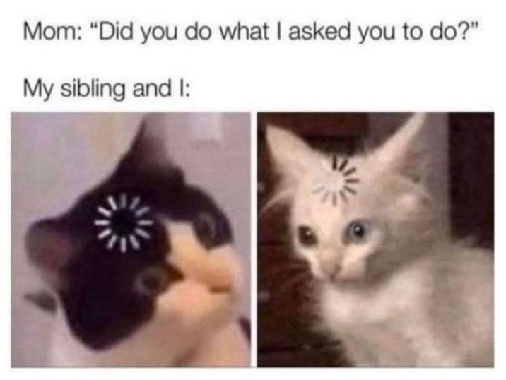 Mom: "Did you do what I asked you to do?" My sibling and I: