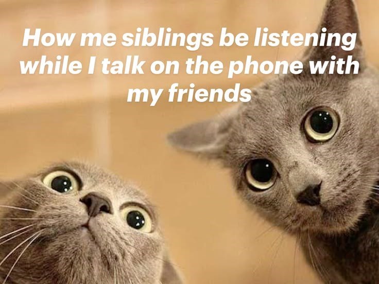 How me siblings be listening while I talk on the phone with my friends
