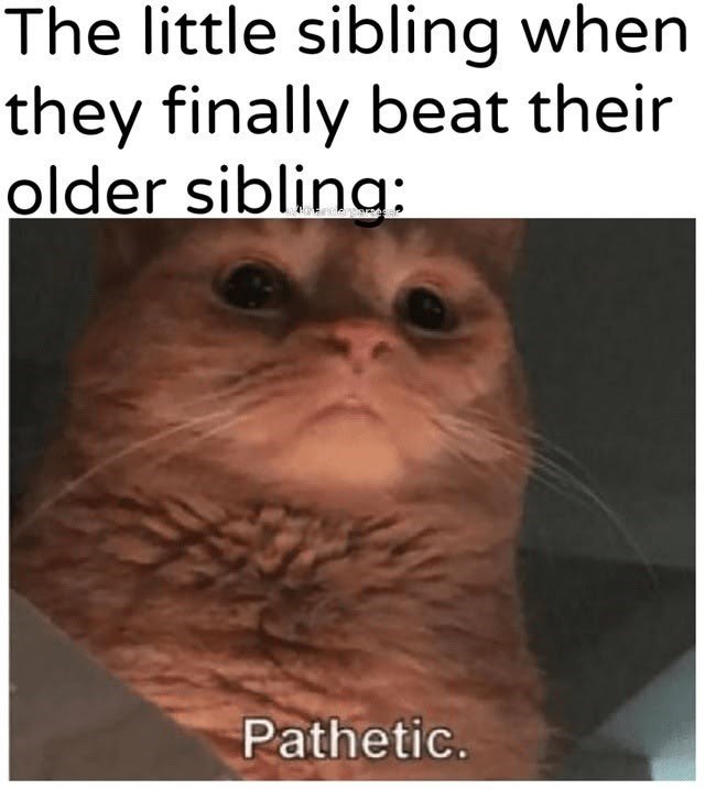 The little sibling when they finally beat their older sibling: Pathetic.