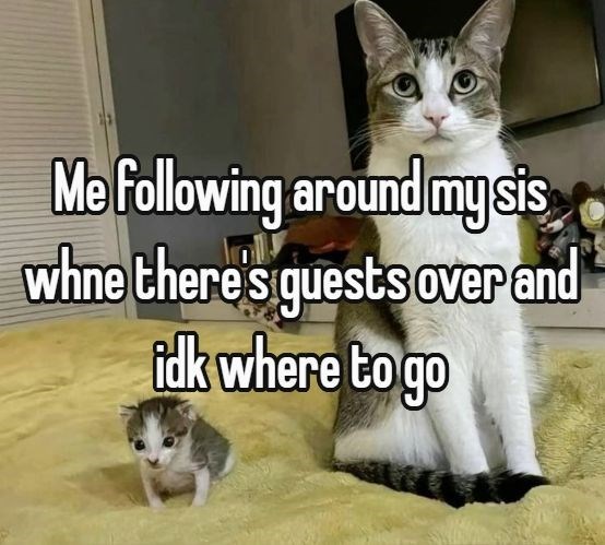 Me following around my sis whne there's guests over and idk where to go