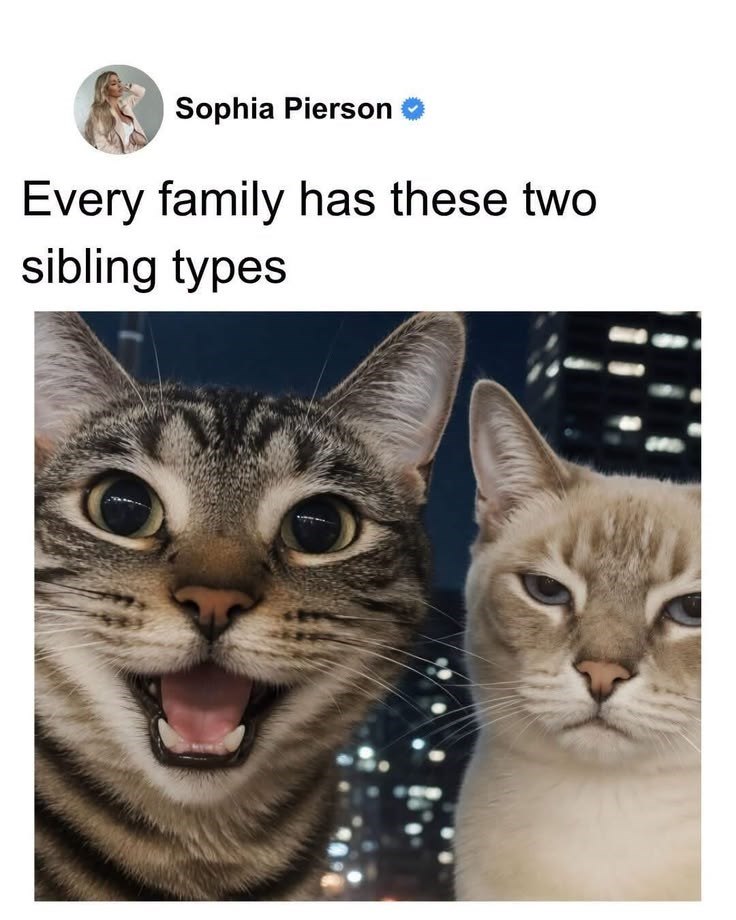 Sophia Pierson Every family has these two. sibling types