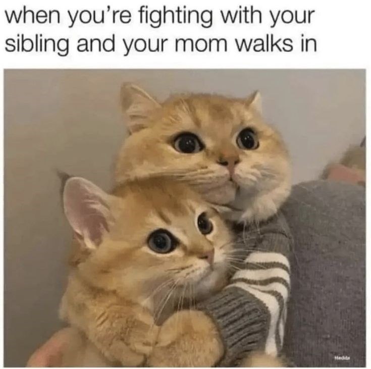when you're fighting with your sibling and your mom walks in Hedids