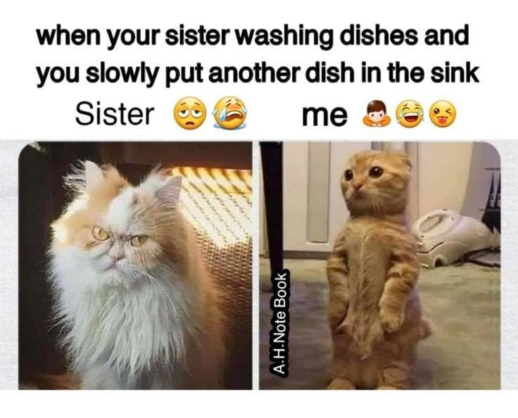 when your sister washing dishes and you slowly put another dish in the sink Sister me A.H.Note Book