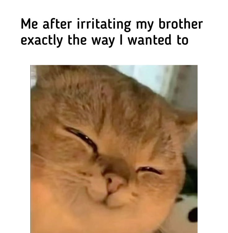 Me after irritating my brother exactly the way I wanted to