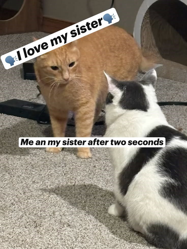 I love my sister❤ Me an my sister after two seconds