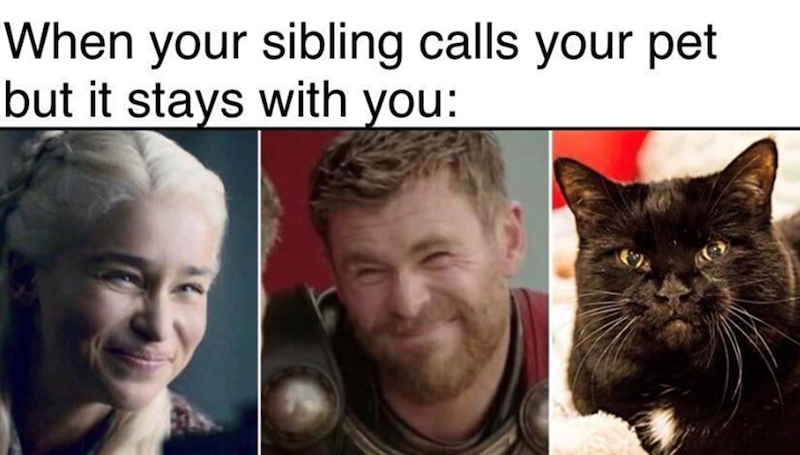 When your sibling calls your pet but it stays with you: