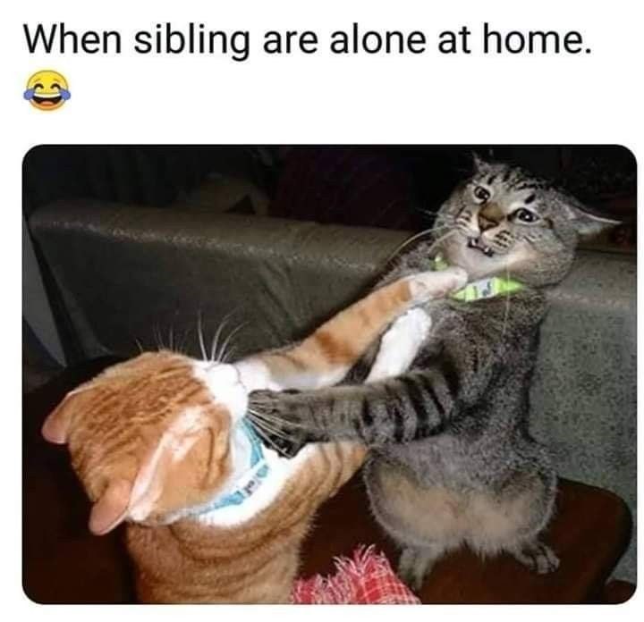 When sibling are alone at home.