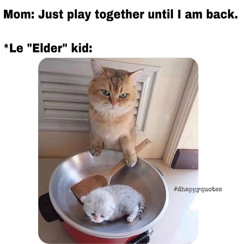 Mom: Just play together until I am back. *Le "Elder" kid: #dhappyquotes