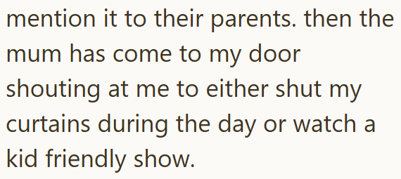 mention it to their parents. then the mum has come to my door shouting at me to either shut my curtains during the day or watch a kid friendly show.
