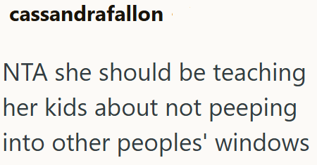cassandrafallon NTA she should be teaching her kids about not peeping into other peoples' windows