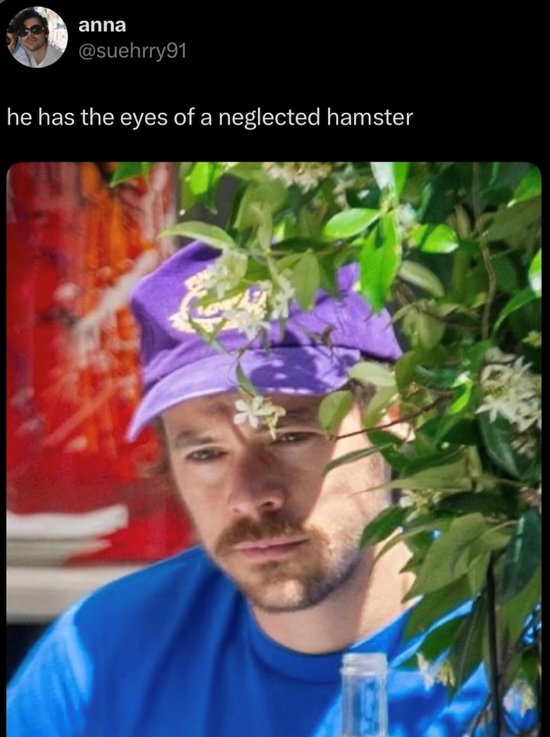 anna @suehrry91 he has the eyes of a neglected hamster