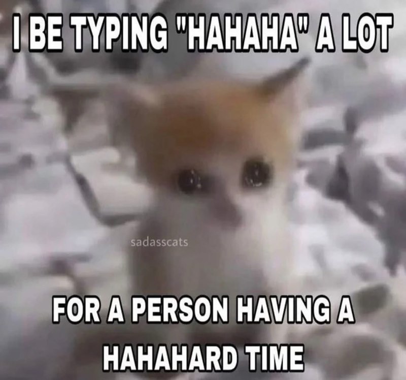 I BE TYPING "HAHAHA" A LOT sadasscats FOR A PERSON HAVING A HAHAHARD TIME