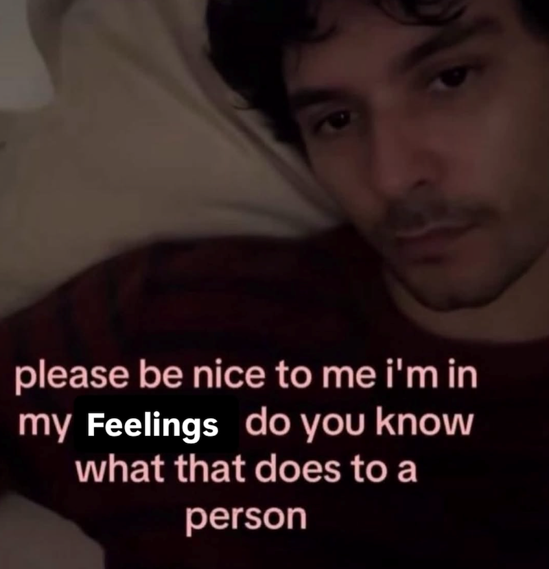 please be nice to me i'm in my Feelings do you know what that does to a person