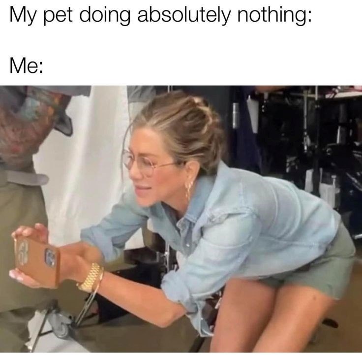 My pet doing absolutely nothing: Me: