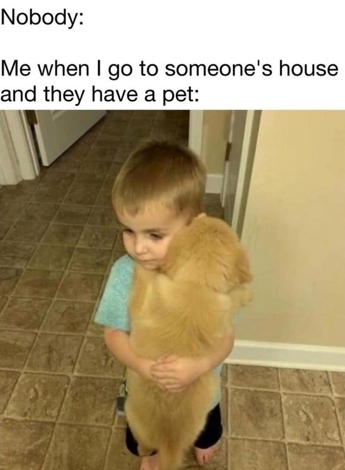 Nobody: Me when I go to someone's house and they have a pet: