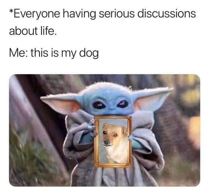 *Everyone having serious discussions about life. Me: this is my dog
