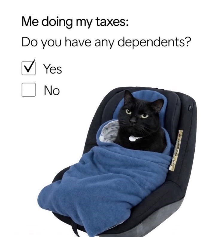 Me doing my taxes: Do you have any dependents? Yes No AURAG -