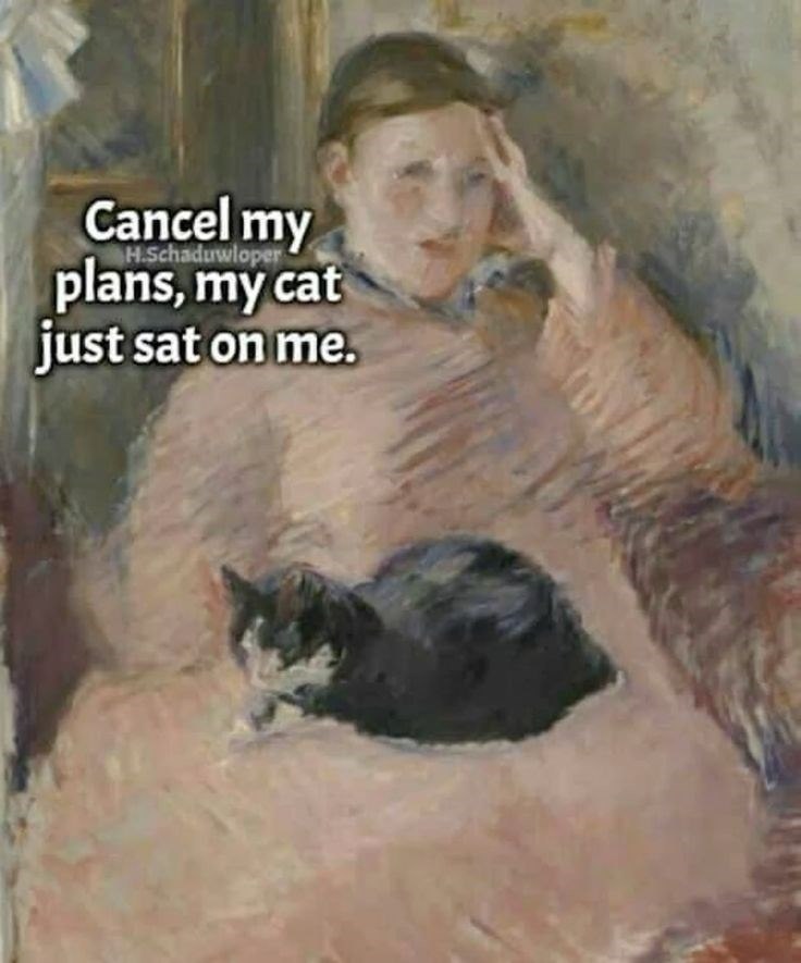 Cancel my H.Schaduwloper plans, my cat just sat on me.