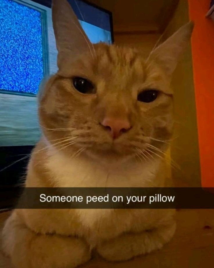 Someone peed on your pillow
