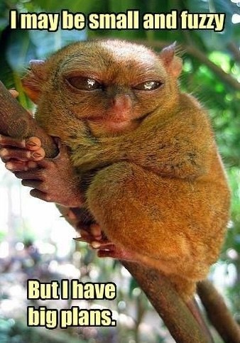 I may be small and fuzzy But I have big plans.