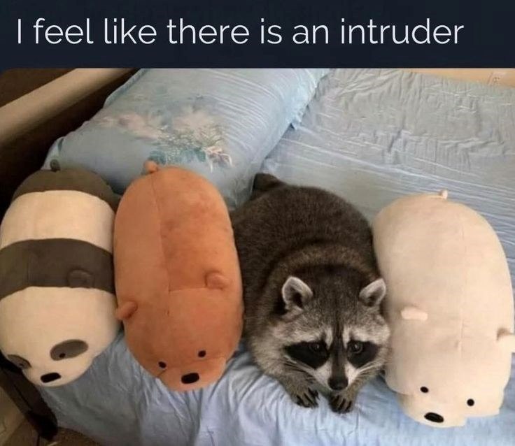 I feel like there is an intruder