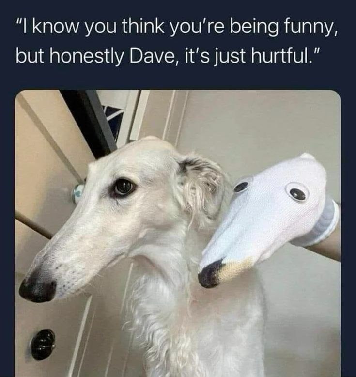 "I know you think you're being funny, but honestly Dave, it's just hurtful.”